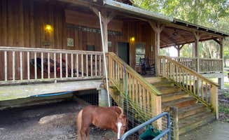 Stuart K.'s photo of camping with pets at Country Oaks Campground & RV Park in Georgia