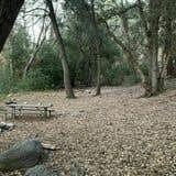 Camper submitted image from Devore Trail Campground - 1