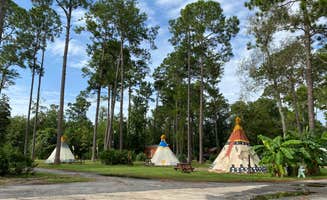 Stuart K.'s photo at Jacksonville North-St. Marys KOA near Callahan, FL