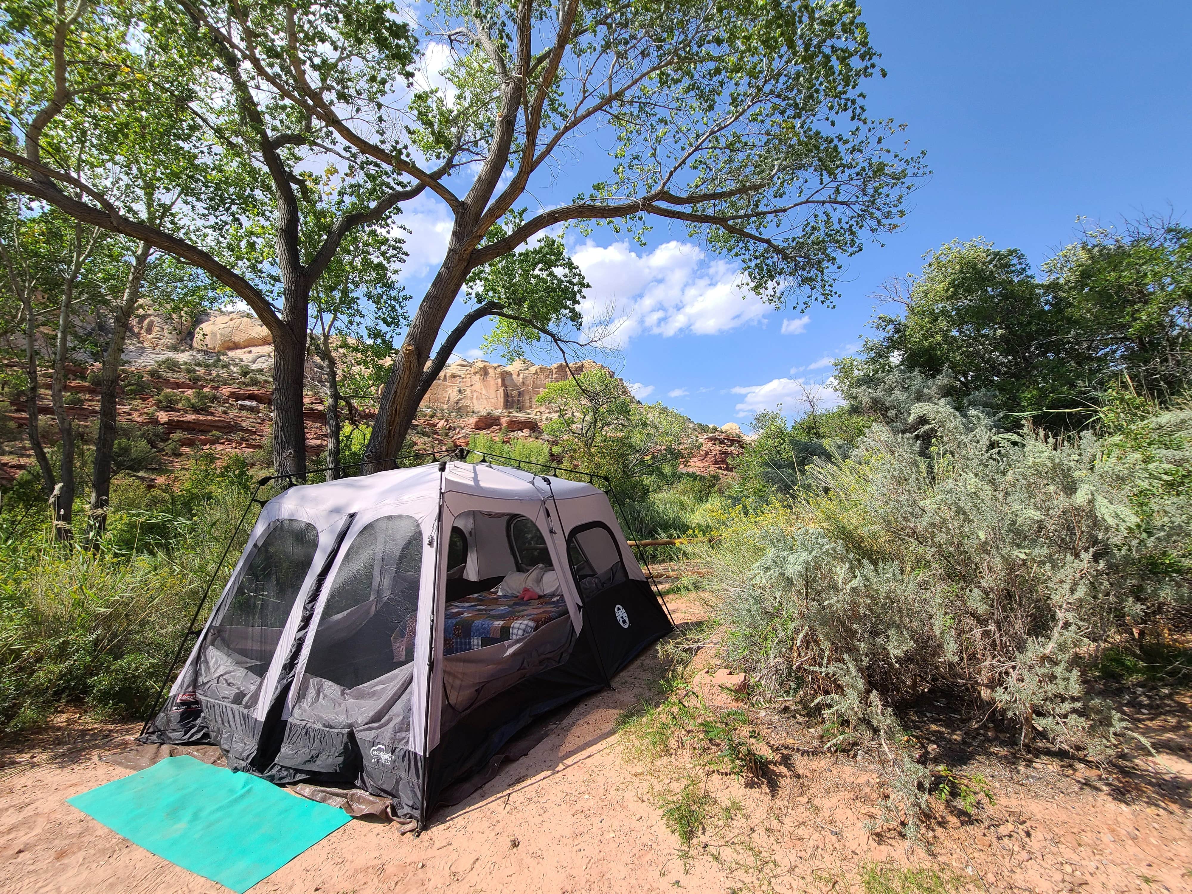 Kelly M.'s photo at Calf Creek Campground near Glen Canyon National Recreation Area