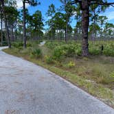 Review photo of Pine Grove Campground — Jonathan Dickinson State Park by Lauren W., October 5, 2021