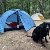 Review photo of Dunewood Campground — Indiana Dunes National Park by Elizabeth G., October 5, 2021