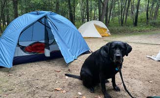 Elizabeth G.'s photo of camping with pets at Dunewood Campground — Indiana Dunes National Park near Michigan City, IN