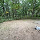 Review photo of Dunewood Campground — Indiana Dunes National Park by Elizabeth G., October 5, 2021