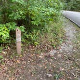 Review photo of Dunewood Campground — Indiana Dunes National Park by Elizabeth G., October 5, 2021