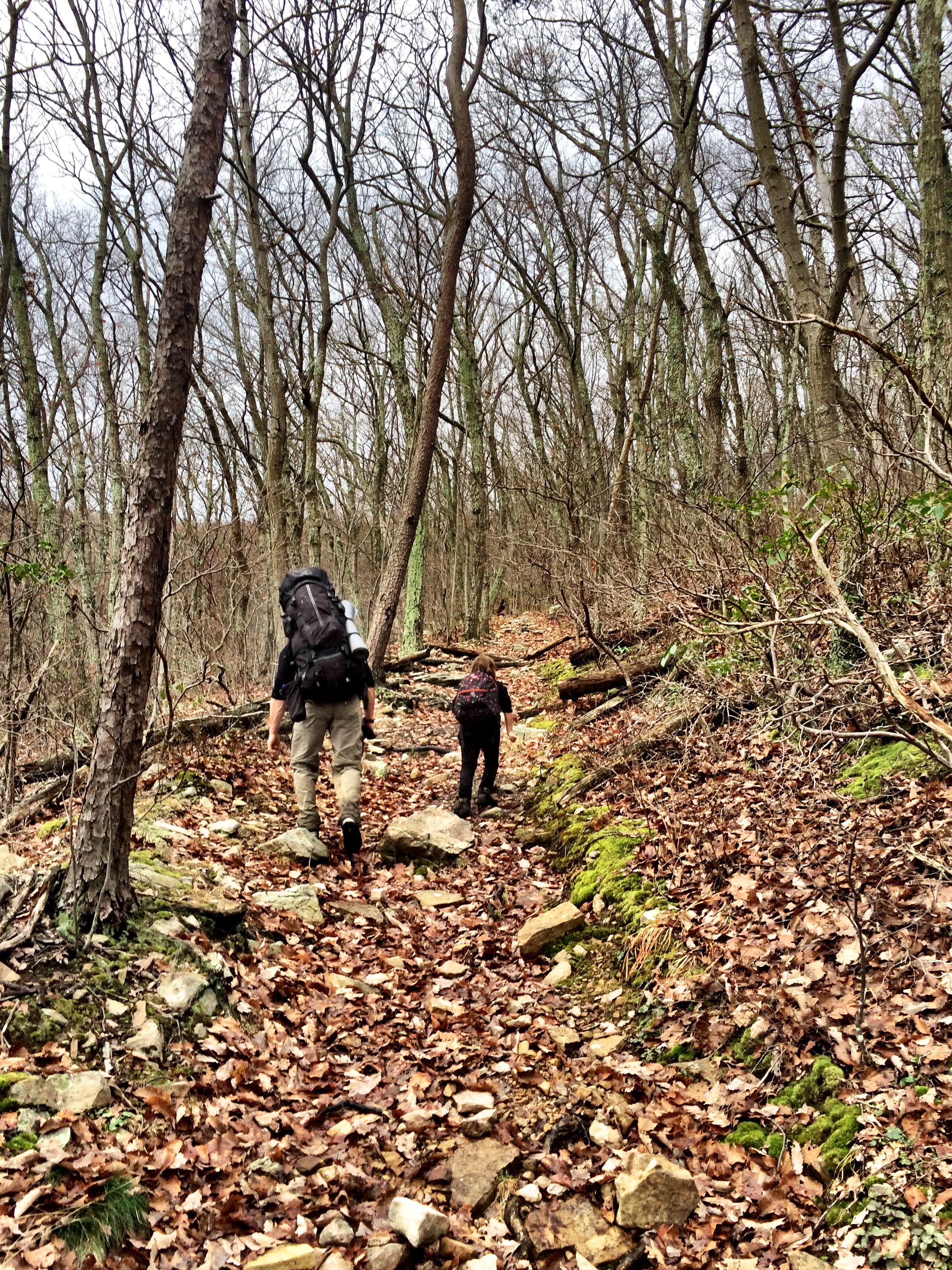 Camper submitted image from Elizabeth Furnace Family Campground - 3