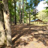 Review photo of Cossatot Reefs - Gillham Lake by Vanessa M., October 5, 2021