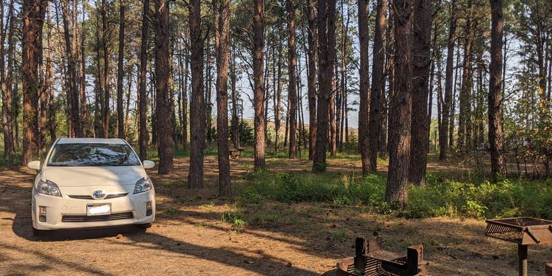 Camper submitted image from Samuel R. McKelvie National Forest