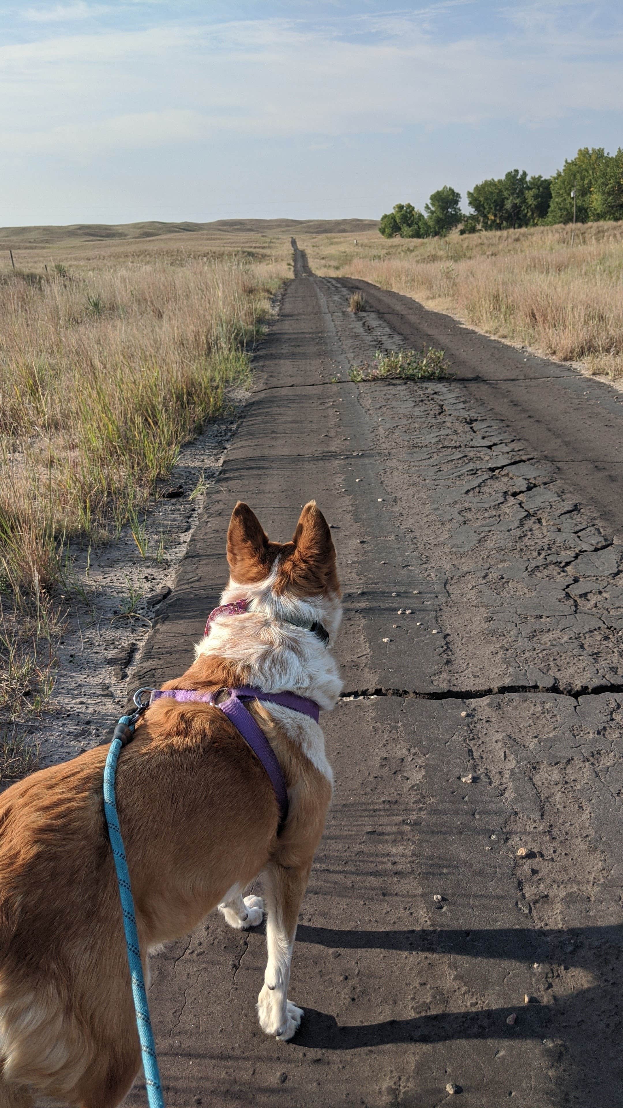 Camper-submitted photo at Samuel R. McKelvie National Forest near Merriman, NE