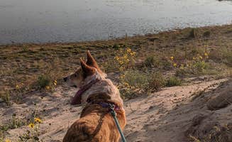 Katharine H.'s photo of camping with pets at Samuel R. McKelvie National Forest near Merriman, NE