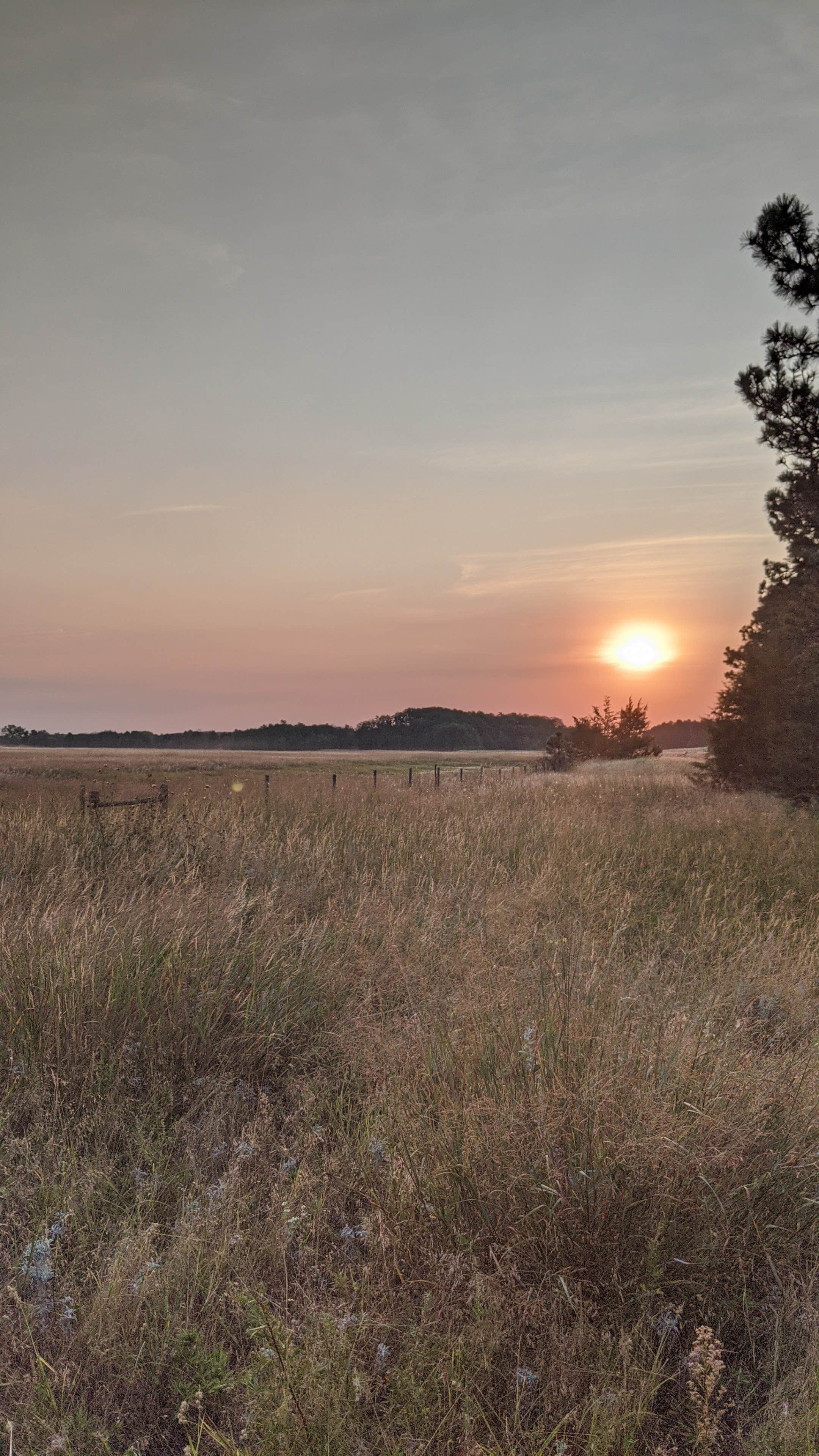 Camper submitted image from Samuel R. McKelvie National Forest - 4