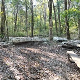 Review photo of Henry Horton State Park Campground by Dana B., October 5, 2021