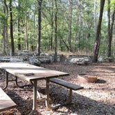 Review photo of Henry Horton State Park Campground by Dana B., October 5, 2021