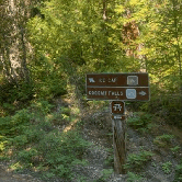 Review photo of Ice Cap Campground by Laura M., October 6, 2021