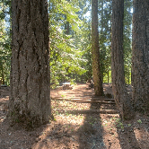 Review photo of Ice Cap Campground by Laura M., October 6, 2021