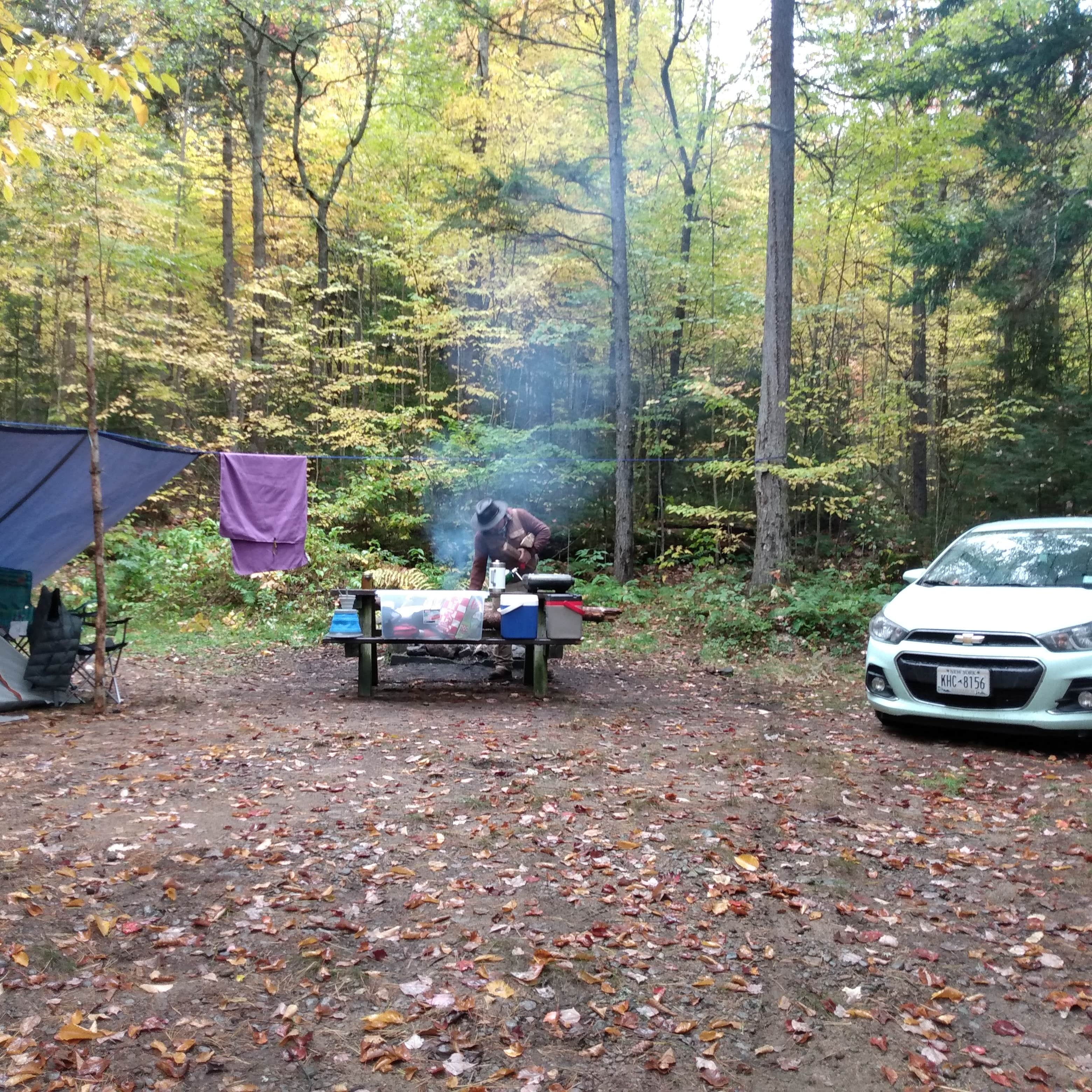Moose River Plains Camping The Dyrt