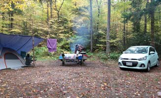 Kaylee C.'s photo at Moose River Plains near Piseco, NY