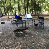 Review photo of Smokemont Campground — Great Smoky Mountains National Park by CC C., October 6, 2021
