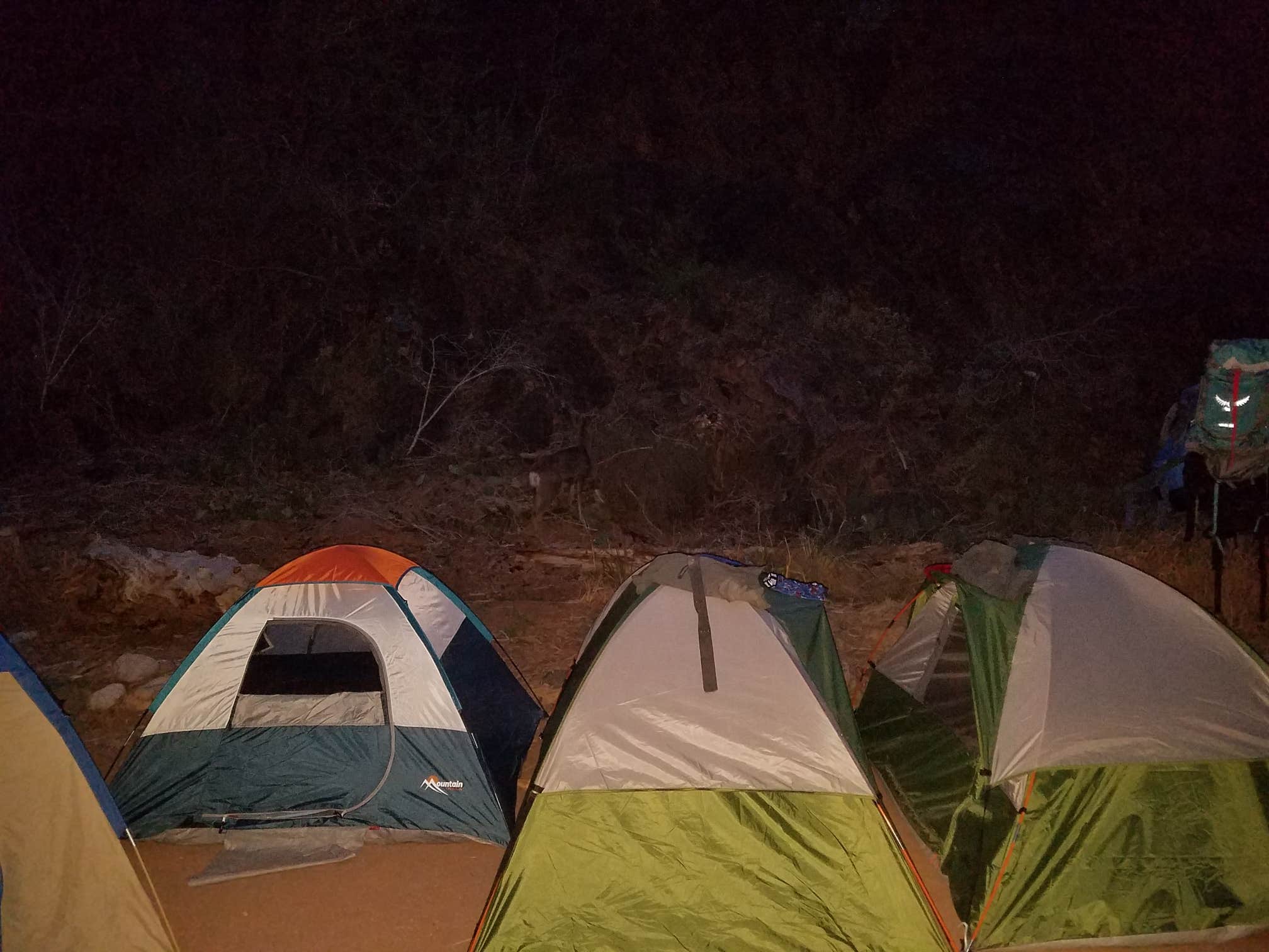 Courtney C.'s photo at Phantom Ranch — Grand Canyon National Park in Arizona