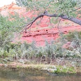Review photo of Calf Creek Campground by Bruce F., October 6, 2021