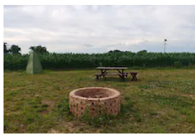 Camper submitted image from Blackwater Snakehead Campsite - 2