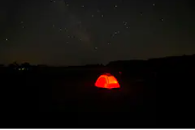 Camper submitted image from Blackwater Snakehead Campsite - 5