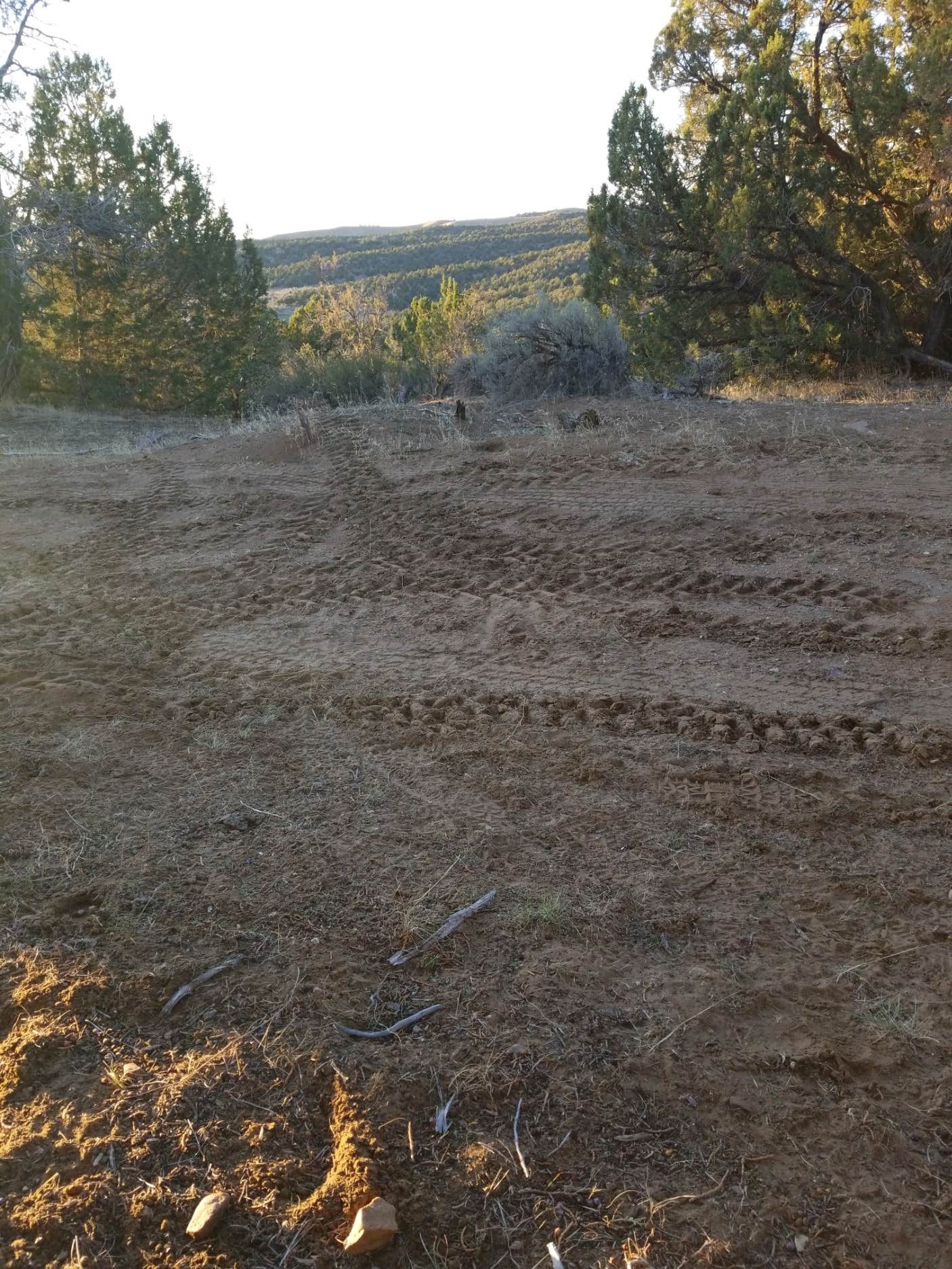 Camper-submitted photo at Whiskey Creek Road - Dispersed Site near Delta, UT