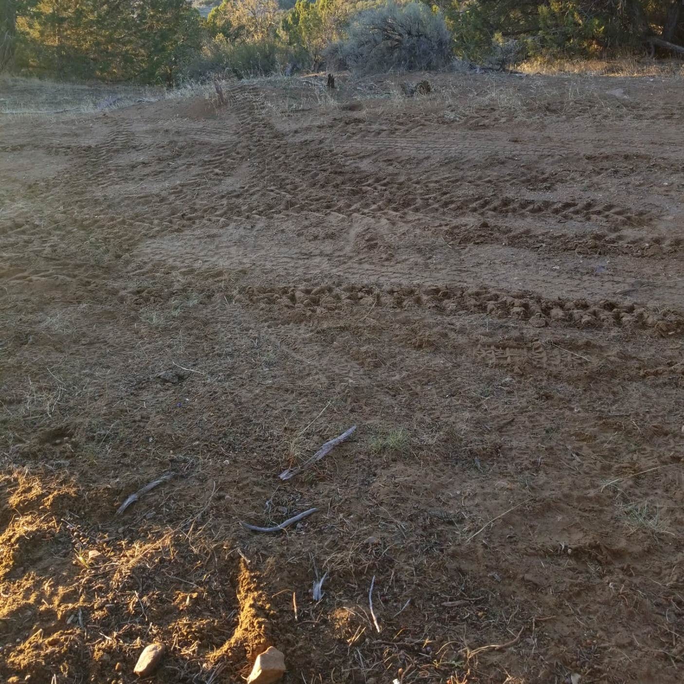 Whiskey Creek Road Dispersed Site Camping Oak City, UT