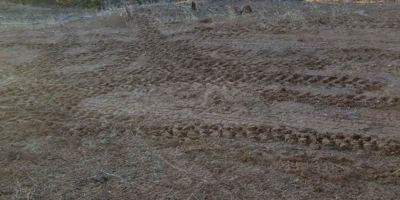 Camper submitted image from Whiskey Creek Road - Dispersed Site