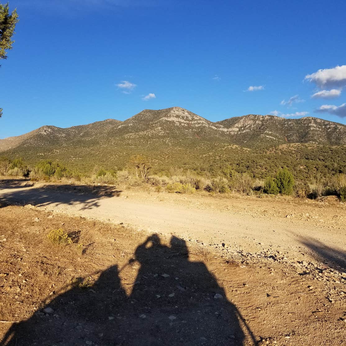 Whiskey Creek Road Dispersed Site Camping Oak City, UT