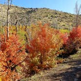 Review photo of Whiskey Creek Road - Dispersed Site by randy C., October 6, 2021