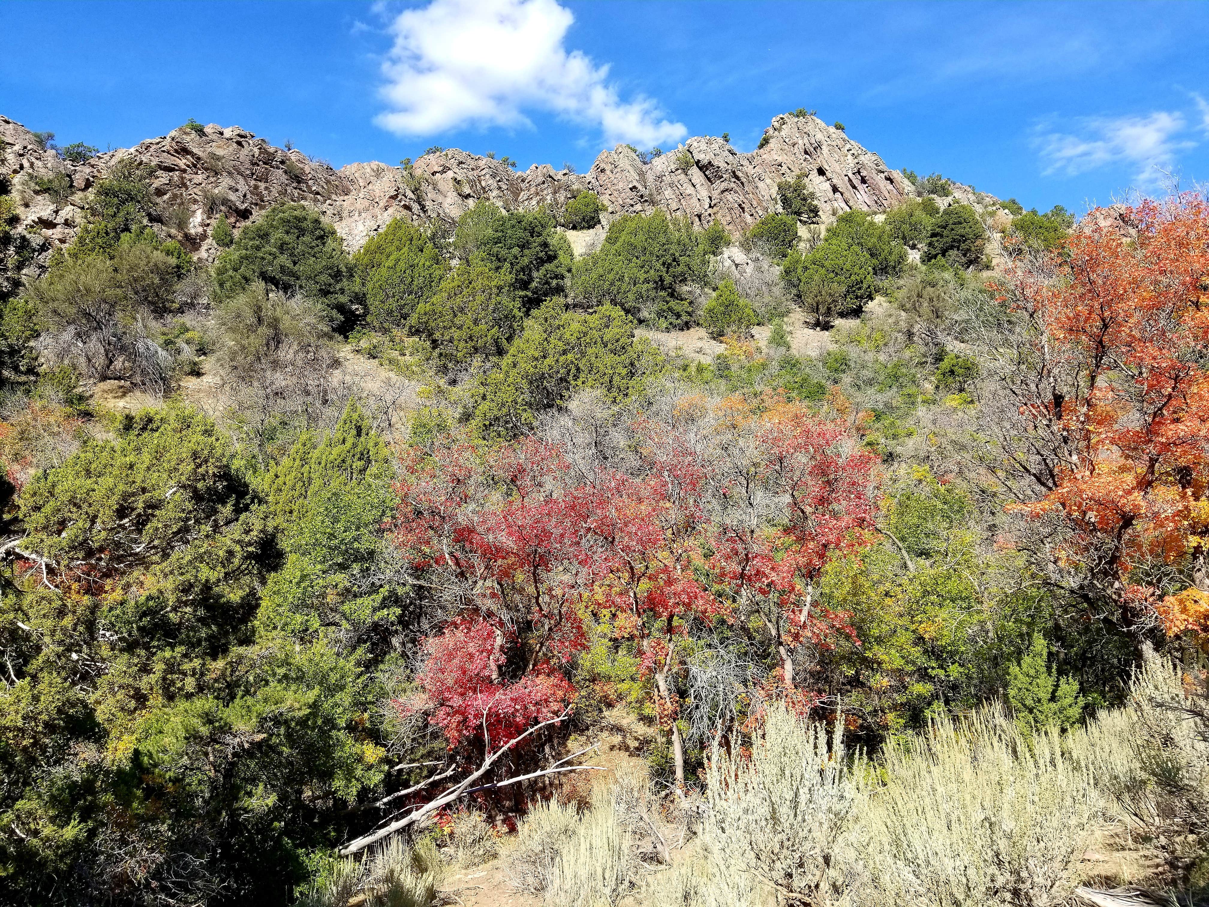 Camper-submitted photo at Whiskey Creek Road - Dispersed Site near Delta, UT