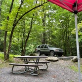 Review photo of Deep Creek Campground — Great Smoky Mountains National Park by Clayton C., October 6, 2021