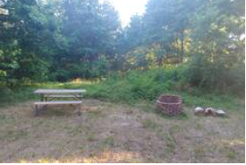 Camper submitted image from Vienna Maryland Wooded Campsite - 5