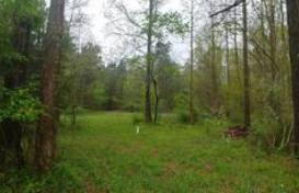 Camper-submitted photo at Vienna Maryland Wooded Campsite near Rehoboth Beach, DE