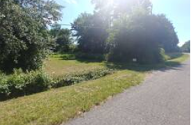 Camper submitted image from Vienna Maryland Wooded Campsite - 5