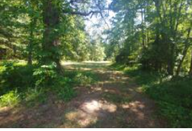 Camper-submitted photo at Vienna Maryland Wooded Campsite near Millville, DE