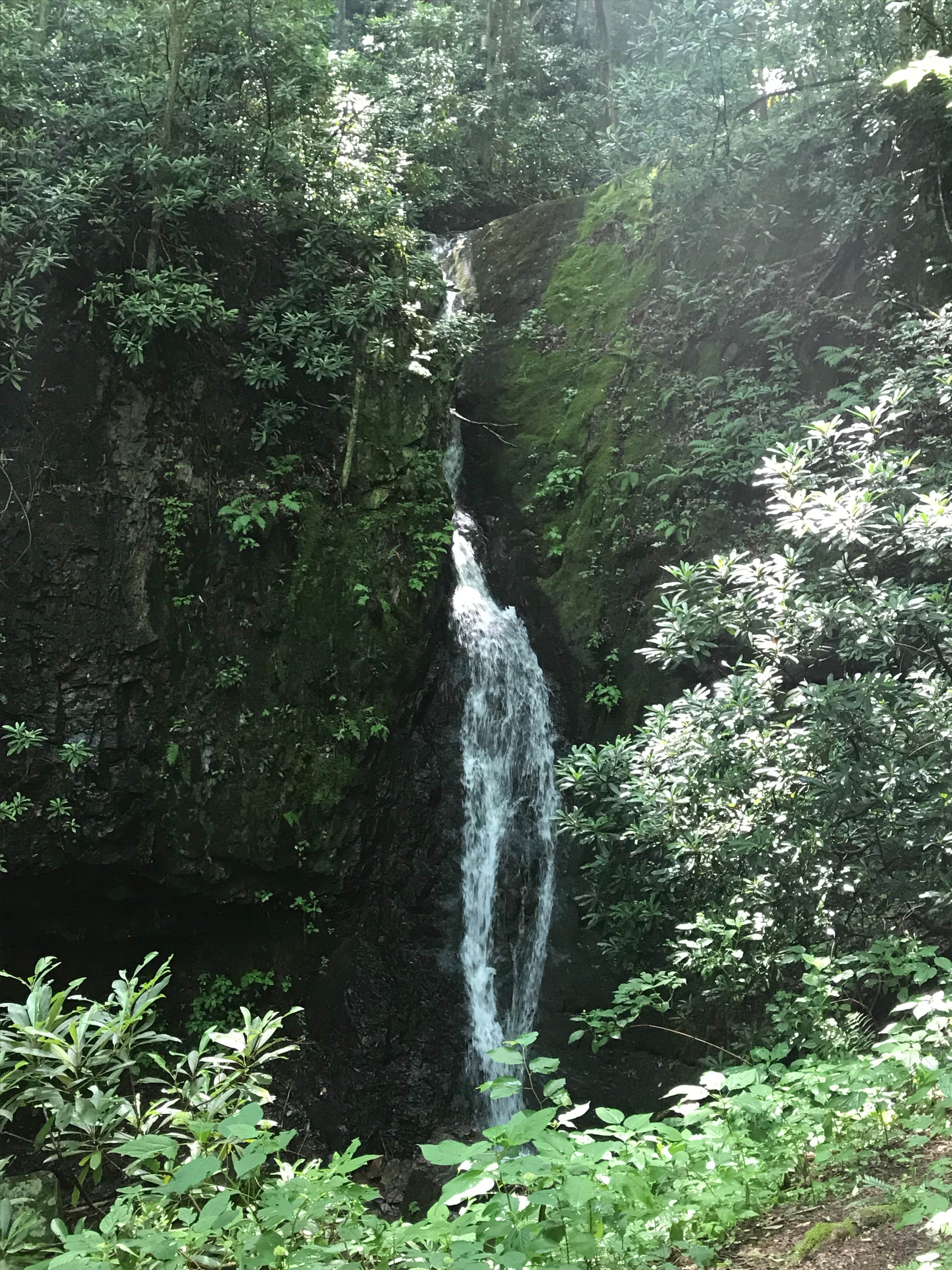 Water