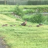 Review photo of Moccasin Creek State Park Campground by Susan H., July 3, 2018