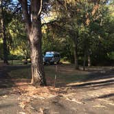 Review photo of Memaloose State Park Campground by Mark T., October 6, 2021