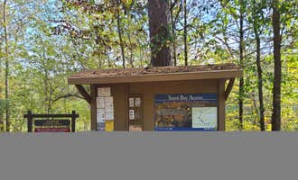 Camping near Mama Gaia’s Zen Garden and Yogic Camping Retreat Center: Sandbar Area Campsites — Cossatot River State Park - Natural Area, Wickes, Arkansas