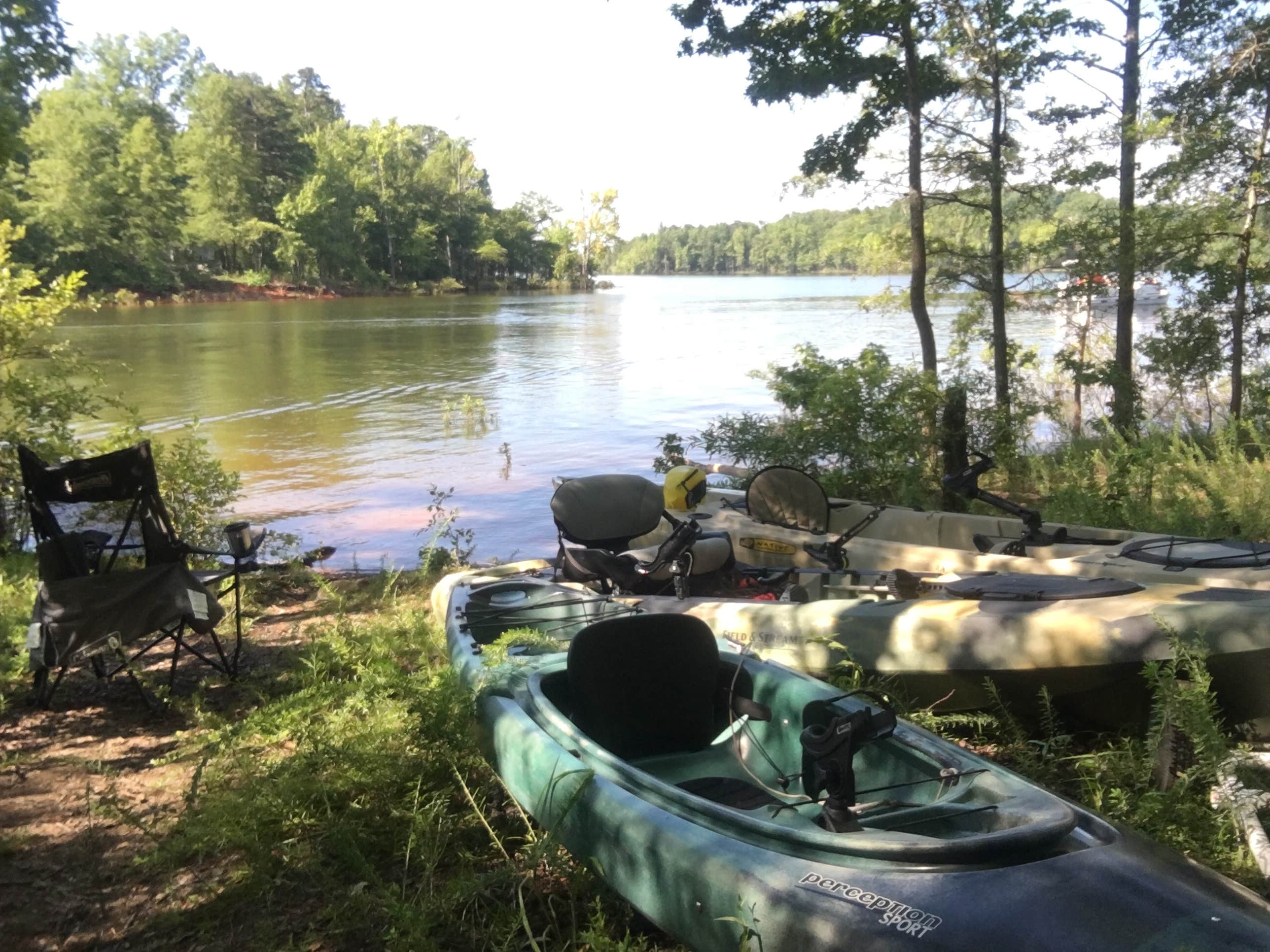 Camper submitted image from Rudds Creek Campground - 5