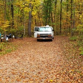 Review photo of Wild River State Park Campground by Fred S., October 6, 2021