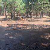 Review photo of Red Canyon Campground by Jennifer  A., October 6, 2021