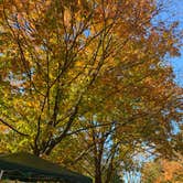 Review photo of Spruce Run Recreation Area by jacquelyn G., October 6, 2021