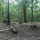 Review photo of Cloudland Canyon State Park Campground by Paul M., July 3, 2018