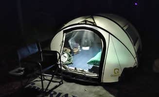 Tommy J.'s photo at Tyler State Park Campground near White Oak, TX