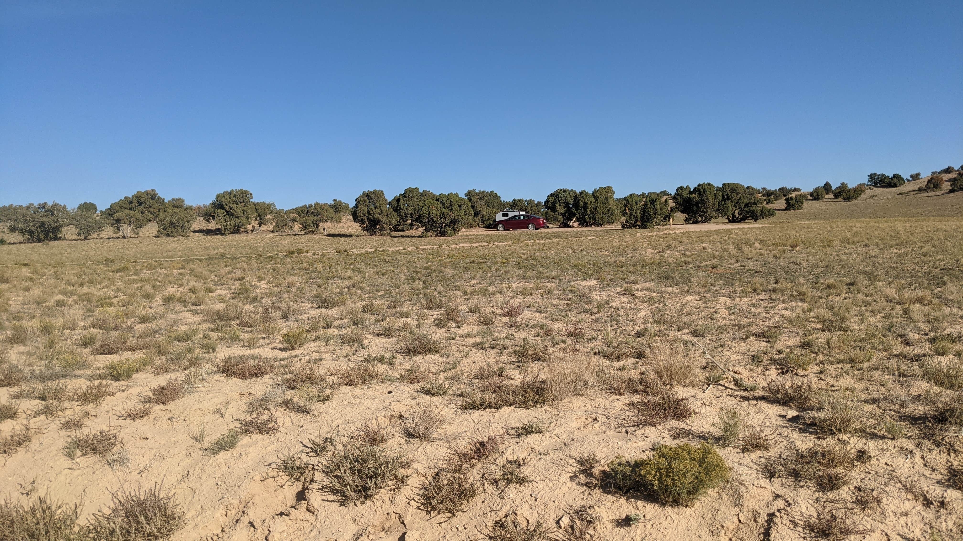 Camping near Bellevue Flats TH: Goodwater Rim Dispersed Site #6, Castle Dale, Utah