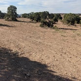 Review photo of Goodwater Rim East Dispersed Camping by Will M., October 6, 2021