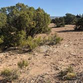 Review photo of Goodwater Rim East Dispersed Camping by Will M., October 6, 2021